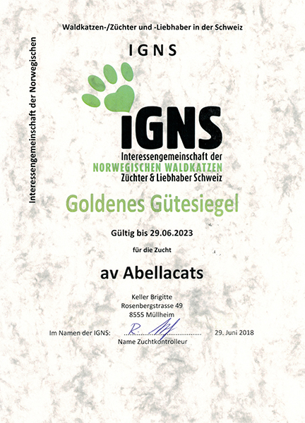 avabellacats_igns_klein
